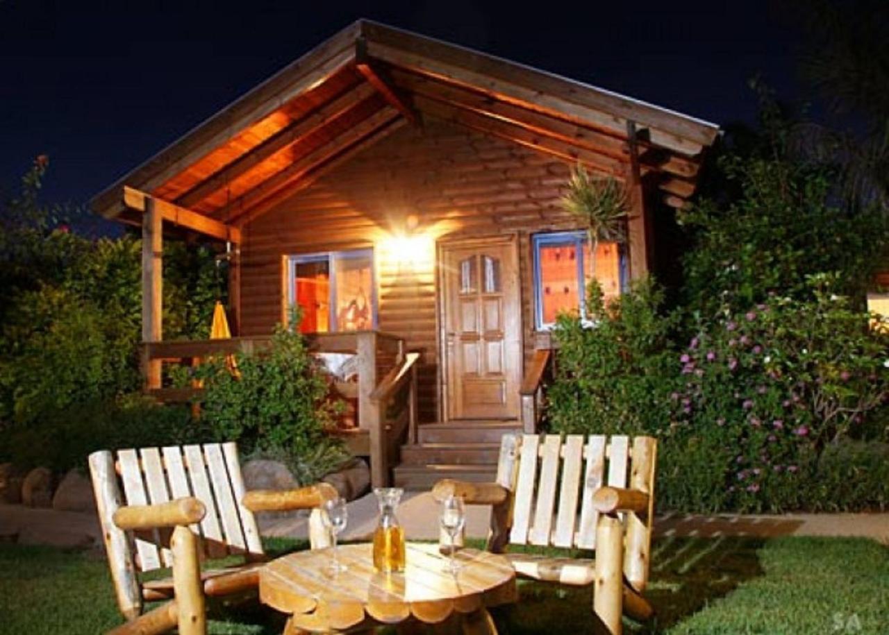 Musical Garden Cabins Ramot Dış mekan fotoğraf